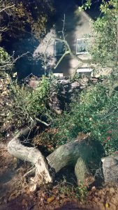 img-20161120-wa00251
