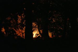 180729_Waldbrand_Syburg_DetailGross_XS_MD_LG