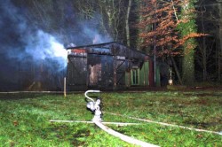 Rauchentwicklung im Wald