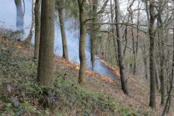 Waldbrand