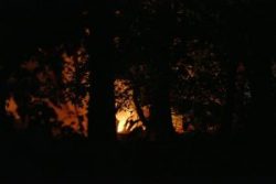 Waldbrand