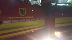 Brennt Gebüsch