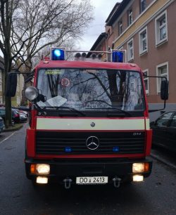 Bäume drohen Umzustürzen