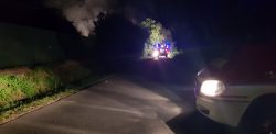 Feuerschein auf Freifläche