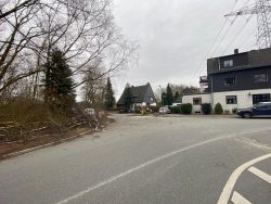 Baum auf Fahrbahn
