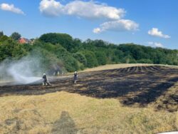 Feuer auf Freifläche