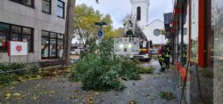 Baum auf Gehweg