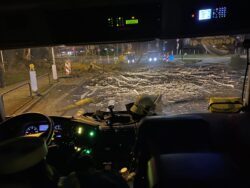Mehrere Äste auf der Straße