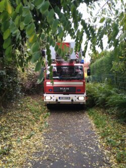 Baum droht auf Straße zu stürzen