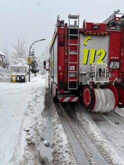 Ast in Stromleitung