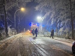 Baum auf Fahrbahn