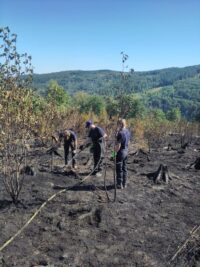 Waldbrand überörtlich